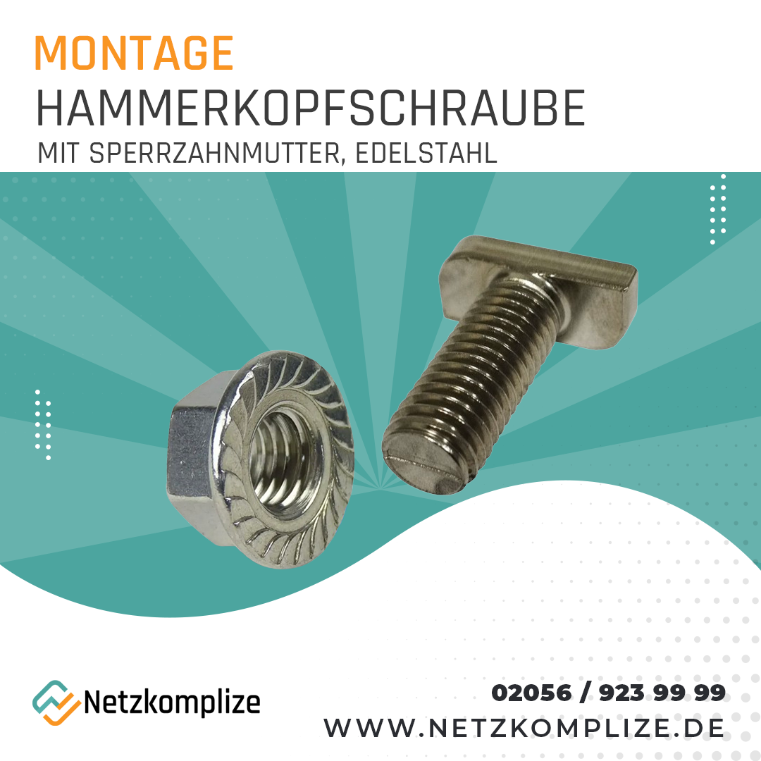Hammerkopfschraube & Sperrzahnmutter - M10 - Edelstahl